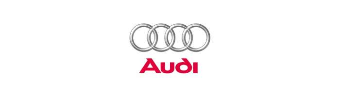 CarKit Bluetooth Audi