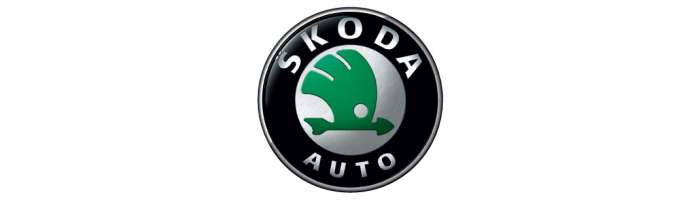 CarKit Bluetooth Skoda