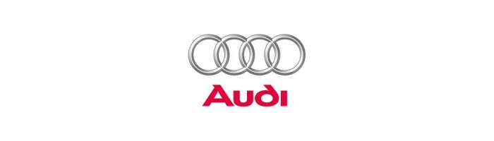 Interfata video camera marsarier parcare Audi